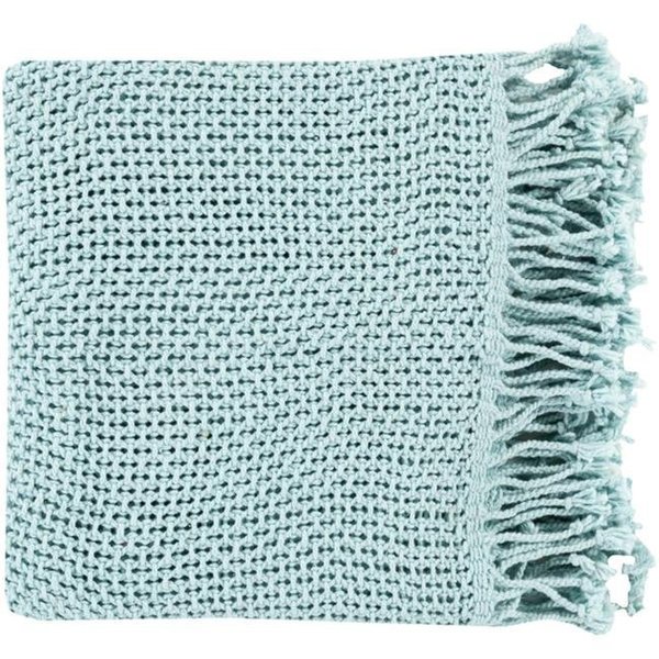 Surya Surya TBE5001-5070 Tibey Throw - Pale Blue - 50 x 70 in. TBE5001-5070